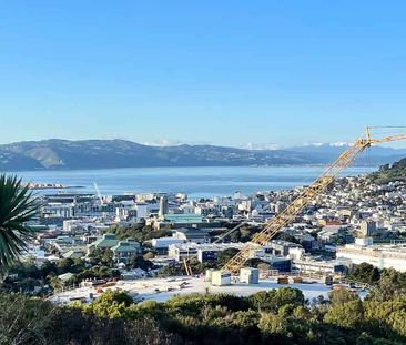 Spacious 2 Bed 2 Bath with Sun, Views & Courtyard - Photo 5