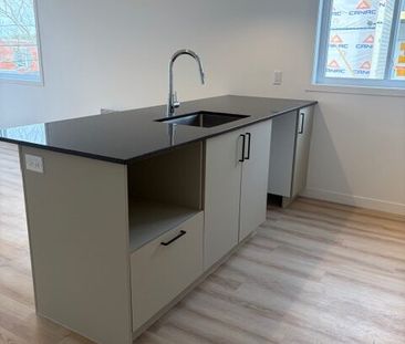 542 Rue Saint-Michel, Sherbrooke, (Vacant) QC J1E 2L1 - Photo 5