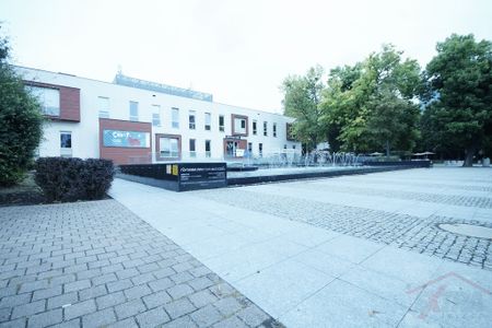 Mieszkanie 2 pokojowe w Centrum na Wynajem (427230) - Photo 3