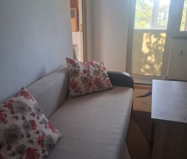Apartament 1 camera, zona Buziasului - AEM - Photo 1