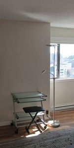 FURNISHED 1 Bdrm CONDO with a Spectacular View - Photo 3