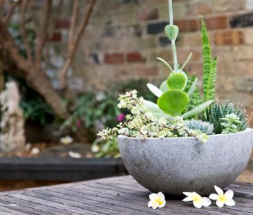 8 Ormond Street, Paddington - Photo 1