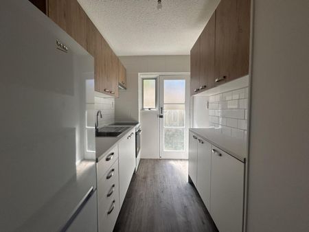 Renovated & Ready to Rent - Photo 3