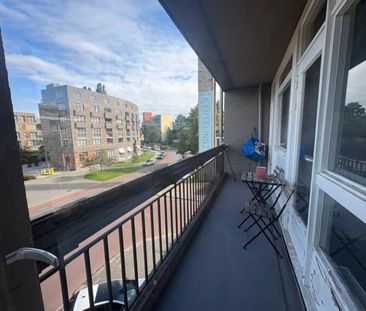 Haagbeuklaan - Photo 4