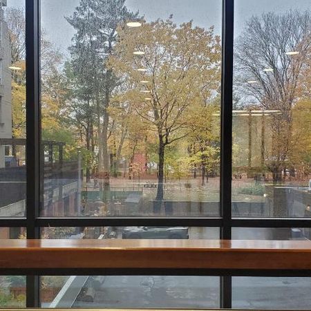 Grand 3 1/2 février ou mars Sillery Qc - Photo 4