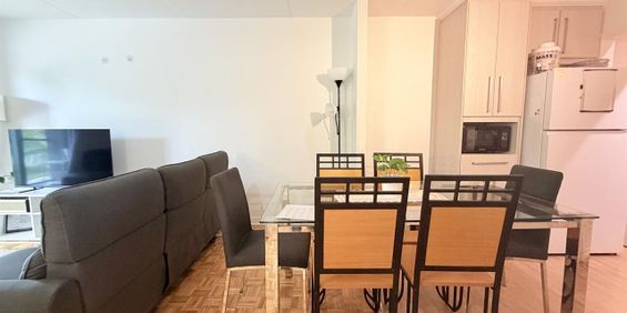 OSEN Appartement 4 ½ à Louer Sainte-Foy / Sillery Septembre 2026 - Photo 3