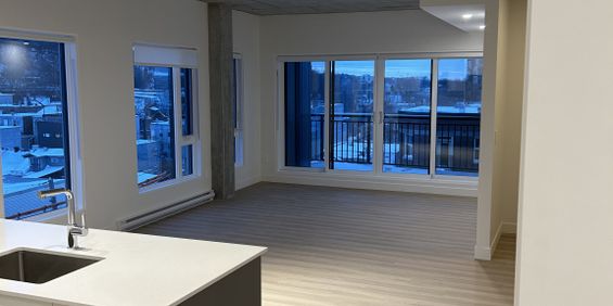 Magnifique Penthouse Deux Chambres - Photo 3