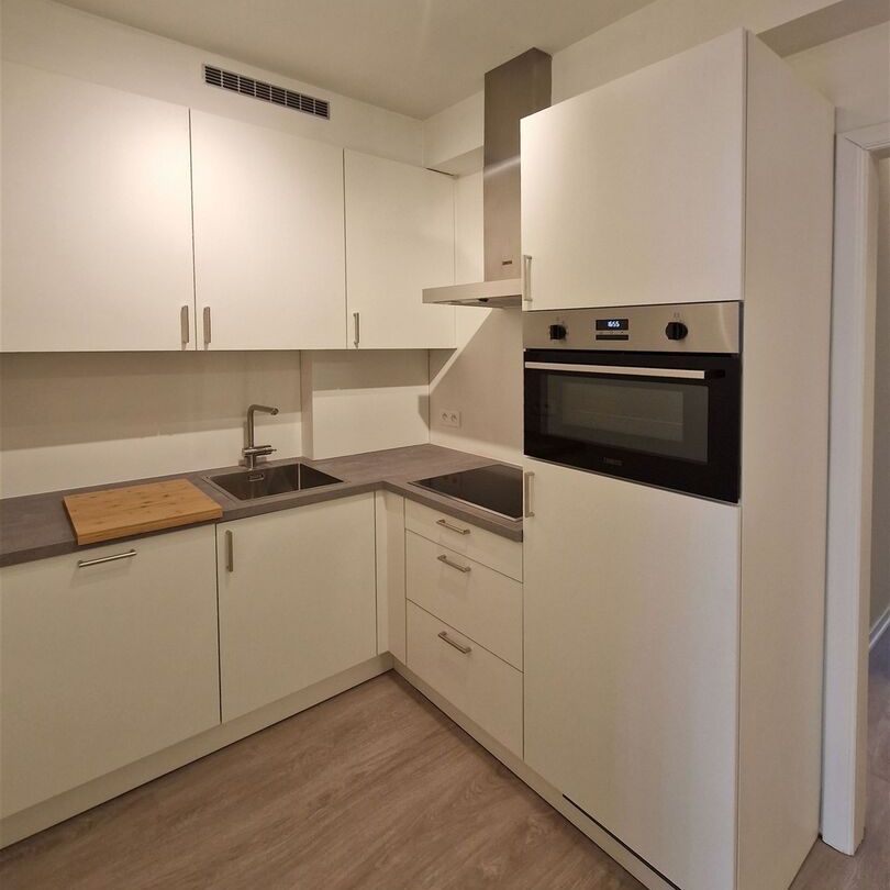 Ruim nieuw gerenoveerd appartement in hartje Antwerpen, instapklaar. - Foto 1