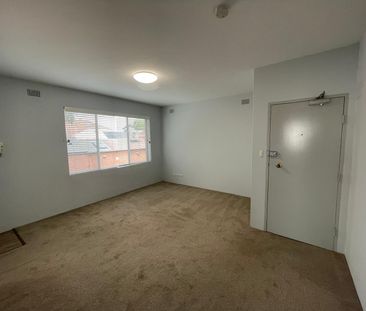 8/115 Flood Street, Leichhardt NSW 2040 - Apartment For Rent | Domain - Photo 1