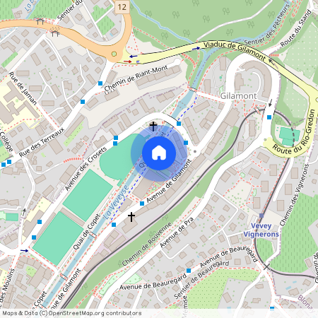 Avenue de Gilamont 21D, 1800 Vevey