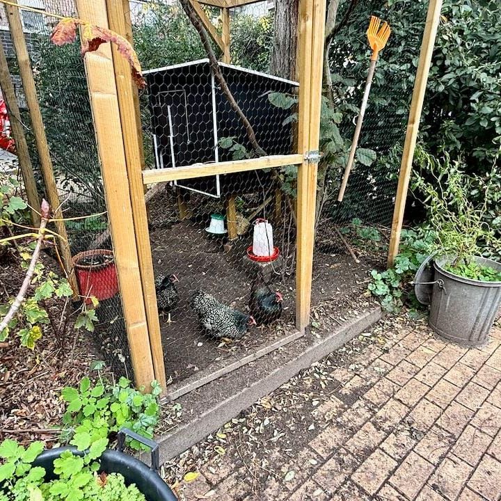 Hamerstraat 67-N, Zuidwal, 2512CX, Den Haag - Photo 1