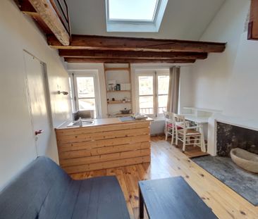 Location Appartement 1 pièce 19m² GRENOBLE 38000 - Photo 3