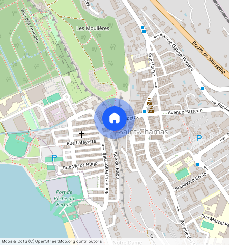 13250, Bouches-Du-Rhône