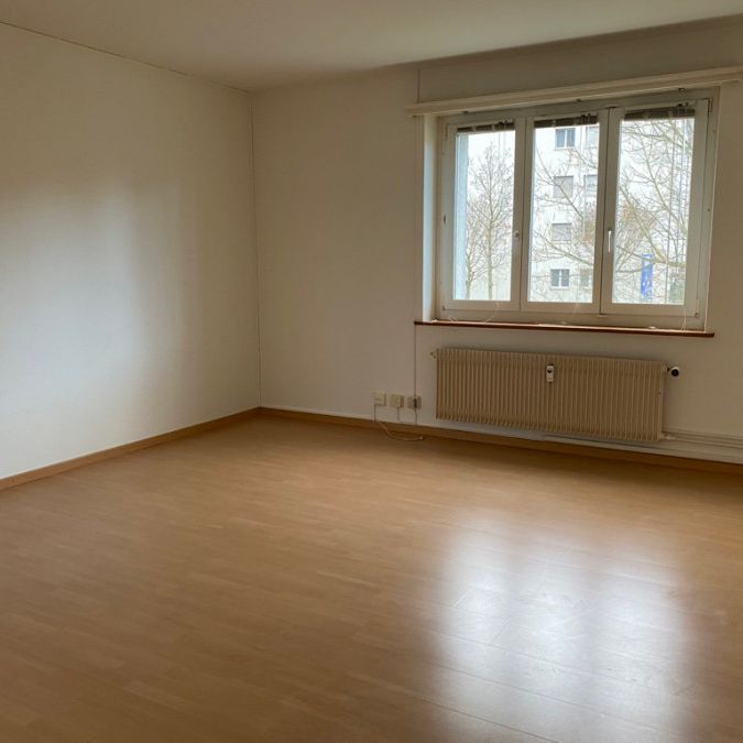 Grossbasel MFH Flughafenstrasse - Foto 1