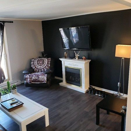 Appartement 5 et demi à Anjou dispo maintenant ANIMAUX acceptés - Photo 4