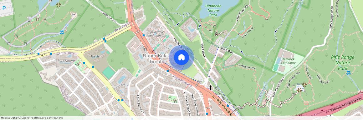 39 HINDHEDE WALK, 587971, Singapore
