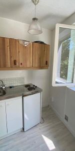 Location Appartement 1 pièce 18m² VERSAILLES 78000 - Photo 3