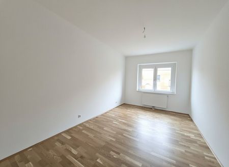 Helle 2-Zimmer-Wohnung in der Anzengruberstrasse - ab sofort verfügbar - Photo 5