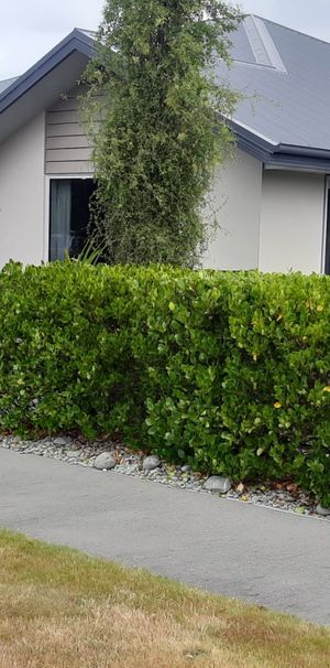 Marshland, 4 bedrooms - Photo 1