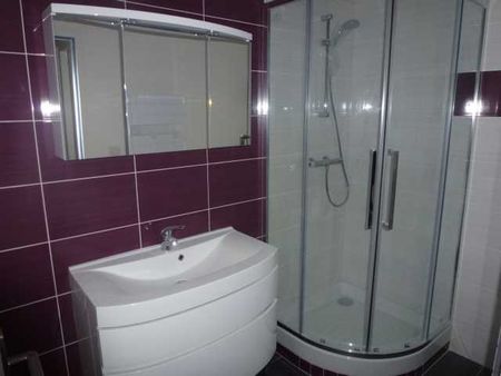 Location Appartement 3 pièces 61m² BROU SUR CHANTEREINE 77177 - Photo 3