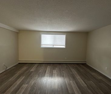 Charming 1 Bed 1 Bath Apartment in heart of DOWNTOWN Red Deer - Photo 4