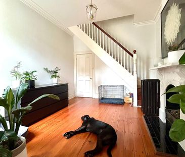 Paddington - Photo 5