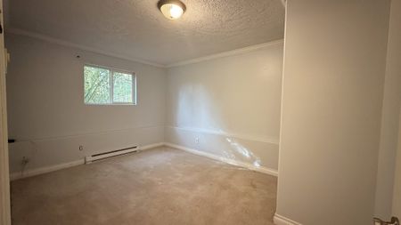 5855 Sycamore Street – Lower - Photo 4