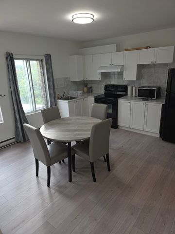 Appartement à louer à Montréal (Ville-Marie) - Photo 3