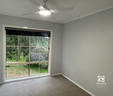 IMMACULATE - Photo 5