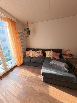 31/2 ROOM APARTMENT IN LUCERNE, FURNISHED, TEMPORARY - Foto 1