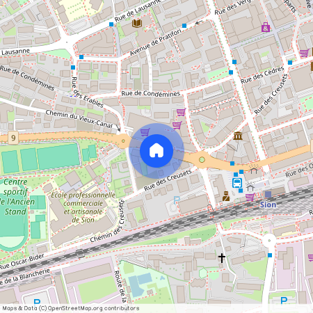 Avenue de France 11 1950 Sion