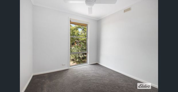 Fully Renovated 3-Bedroom Home with Spacious Yard - Photo 1