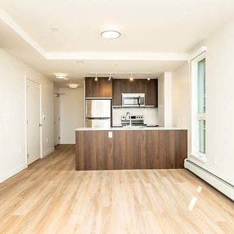 Great Location 2 Bed+ Den 1 Bath on Cambie St Near Oakridge!!! - Photo 3