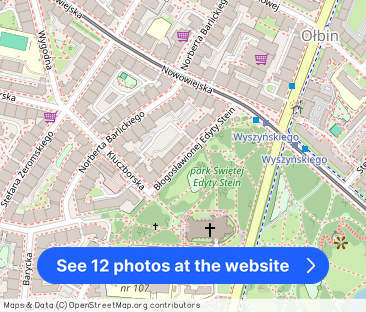 2 pok bezpośrednio, klimatyczne 50m2 przy parku, zwierzęta ok - Photo 1