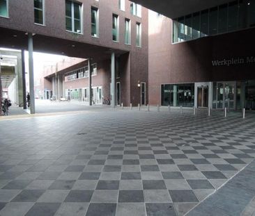Smalle Haven - Photo 6
