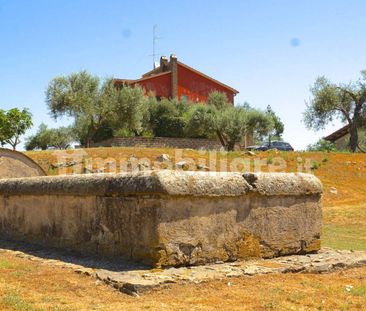 Appartamento Strada Provinciale Settevene, Nepi - Photo 4