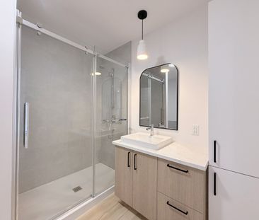 4.5 + Bureau à St-Lambert-De-Lauzon - Photo 3