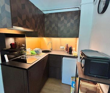 Location Appartement 1 pièce 24m² TOURS 37100 - Photo 4