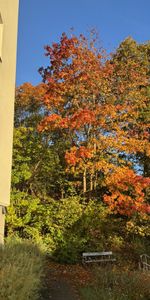 Olof Rudbecksgatan, Göteborg - Photo 3