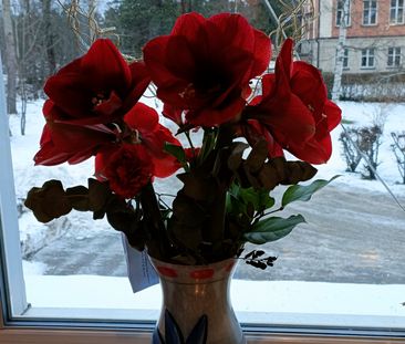Nacka, Kranglans väg, Nacka - Photo 2