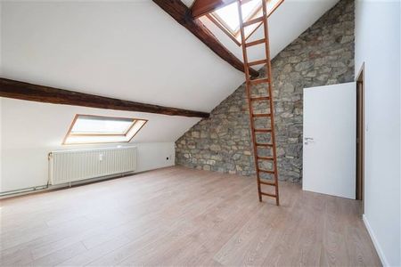 Duplex te huur - Photo 4
