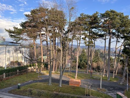 "Grünes Wohnen" | Nähe Pötzleinsdorfer Schlosspark - Foto 3