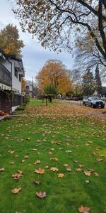 Trinity Street - Spacious Garden Suite with Private Yard - Photo 4