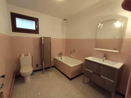 Location Appartement 2 pièces 46m² ONNION 74490 - Photo 2