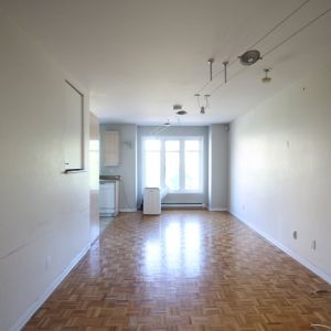 Appartement Montréal (Ville-Marie) À Louer - Photo 3