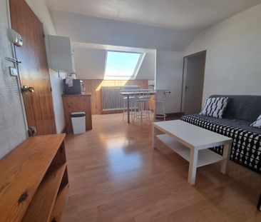 Location Appartement 1 pièce 30m² OLIVET 45160 - Photo 4