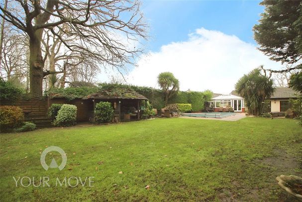 1 bedroom property to rent - Photo 1