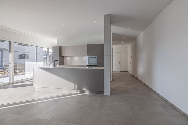 3.5-room apartment with lake view - Photo 1