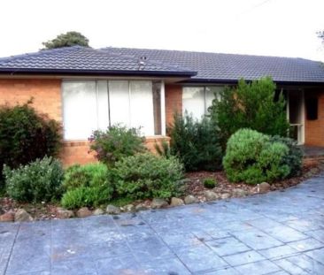 Look at this - Photo 4