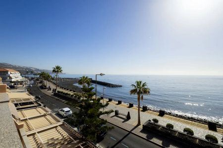 Candelaria - Photo 2